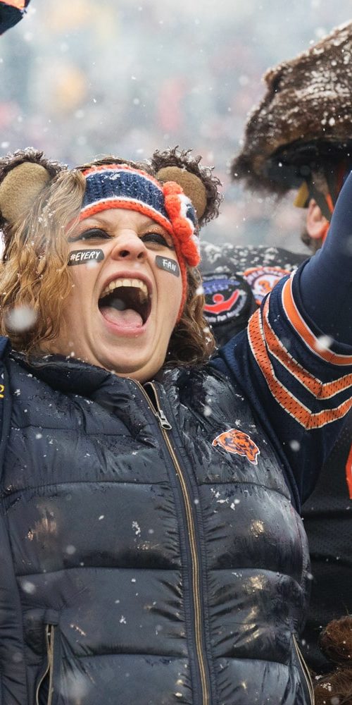 Bears Fan